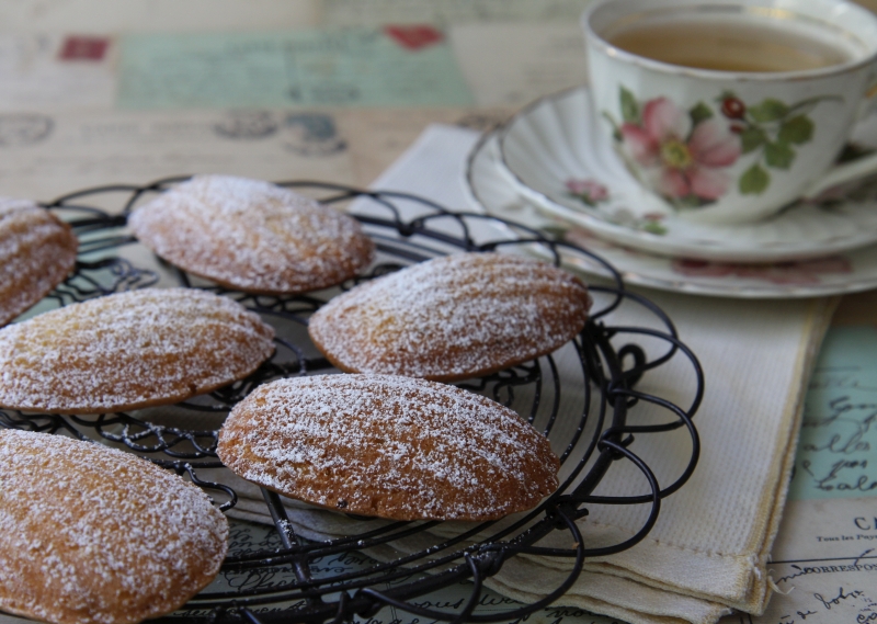 madeleines4 resized